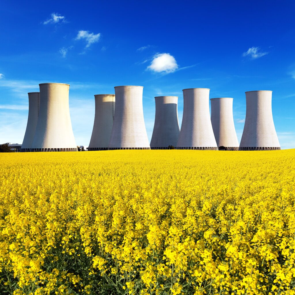 Nuclear Power Plant - FEA impact